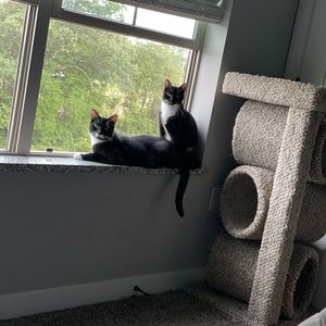 Meet your Posher, Sierra